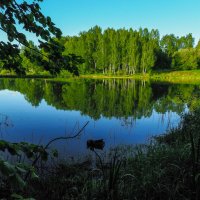 Подмосковные Пейзажи :: юрий поляков