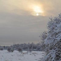 МОЯ ДЕРЕВНЯ, окрестности аллеи. :: Виктор Осипчук