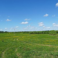 Пригородный майский пейзаж :: Галина Кан