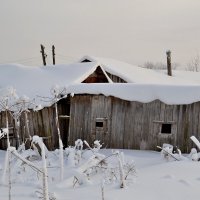 МОЯ ДЕРЕВНЯ, окрестности аллеи. :: Виктор Осипчук