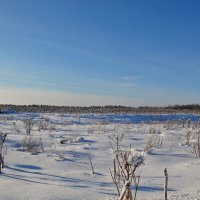 МОЯ ДЕРЕВНЯ, окрестности. :: Виктор Осипчук