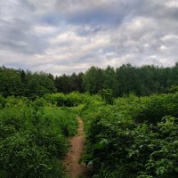 Если нет солнца :: Андрей Лукьянов