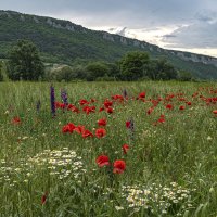 В долине Бельбека :: Игорь Кузьмин