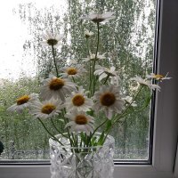 Дождь за окном :: Galina Solovova
