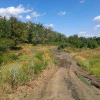 Зверево. Загородная дорога в лес. :: Пётр Чернега