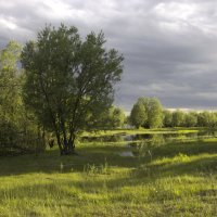 Большая вода :: Андрей К