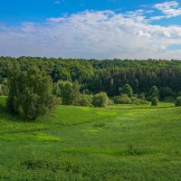 Палитра июня... :: Владимир Жданов