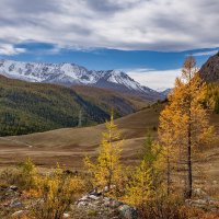 Осень горная :: Виктор Четошников