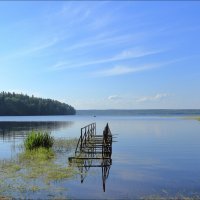 Гладышевское озеро.  (Карельский перешеек) :: Александр Алексеенко