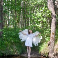 Ангел в лесу :: Руслан Веселов