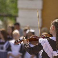 Скрипачка :: Дмитрий Кутепов