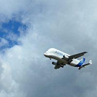 AIRBUS BELUGA :: Nina Yudicheva