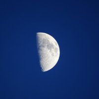 Moon tonight :: Иван Литвинов