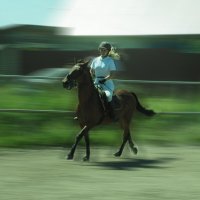 Лучше лошадей - только кони! :: Евгений 