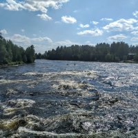 Лосевская протока...Река "Вуокса"... :: Наталия Павлова