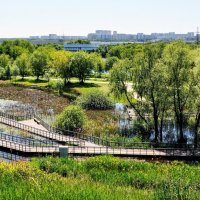 Там , за  рекой , Зябликово и Братеево... :: Анатолий Колосов