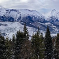 В Бахледовой долине :: Андрей Николаевич Незнанов