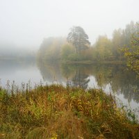 Туманное утро на озере. :: Анастасия Софронова