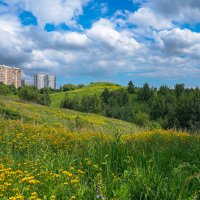 Московское лето... :: Владимир Жданов