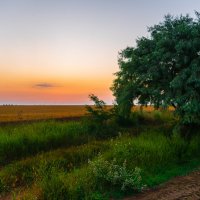 Летний восход солнца в крымской степи. :: Андрей Козлов