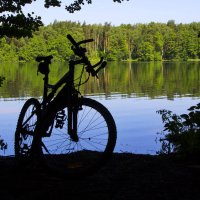 Лето, озеро, велосипед :: Дмитрий Балашов
