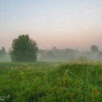 Алеховщина. :: Владимир Питерский