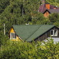 В зеленом убранстве :: Петр Беляков