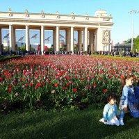 цветы и дети :: Олег Лукьянов