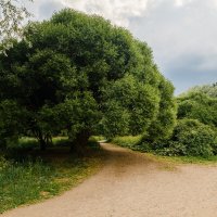 В парке Александрино Санкт-Петербург :: Роман Алексеев