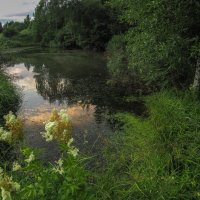 У Тихой Воды :: юрий поляков