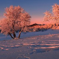 winter morning :: Elena Wymann