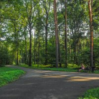 В Летнем Перке :: юрий поляков