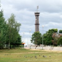 В Приморском районе. :: Евгений Шафер