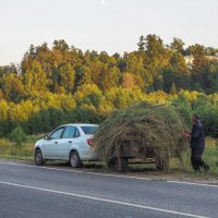 Сенокос :: юрий поляков