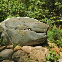 Каменный крокодил :: Светлана 