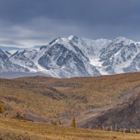 Северо-Чуйский хребет :: Виктор Четошников