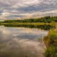 Озеро в лесу, перед дождём  # 03 :: Андрей Дворников