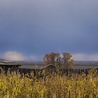 Приближается фронт дождя. :: Лилия *