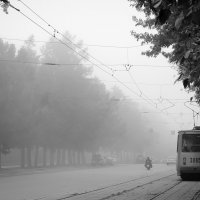 утреннний туман :: Владислав Чернов
