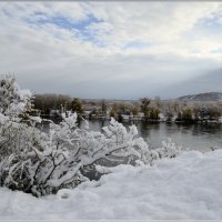 С первым снегом ! :: galina tihonova