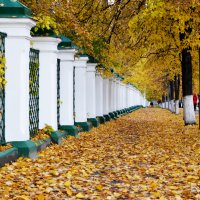 Томск :: Михаил Петрик