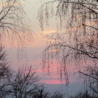 Розовый закат :: Лариника Кузьменко