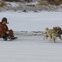 ... :: Павел Богданов