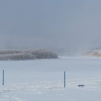 Зима :: Людмила Лебеденко