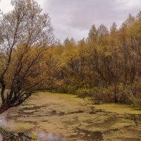 ... :: Жанна Мальцева