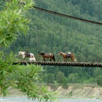 Мост через реку Кучерла возле села Тюнгур :: Александр Шведов