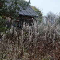 прогулки по деревне... :: Елена Калашникова 