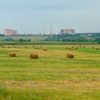 А в далеке виднеются... :: Ксения Соварцева