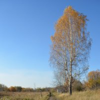 Дорога в даль. :: Александра Турбина