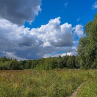 В поле... :: Владимир Жданов